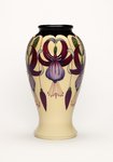 Moorcroft Sunshine Chandelier - 46/10 - Vase
